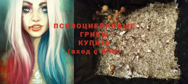 spice Беломорск