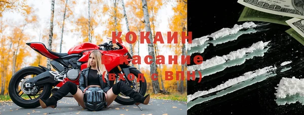 бошки Тайга