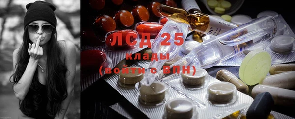 spice Беломорск