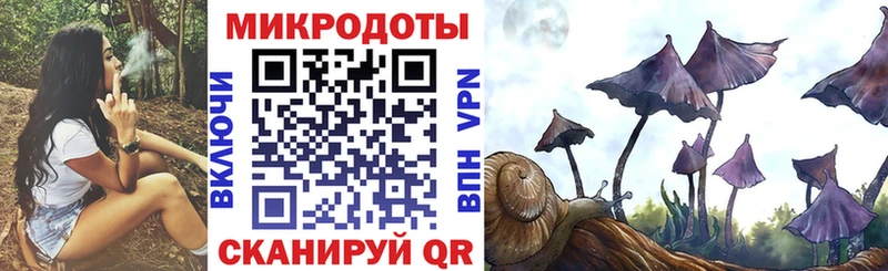 Псилоцибиновые грибы Psilocybe  Бутурлиновка 
