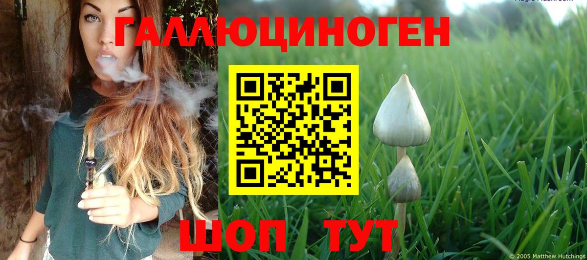 Псилоцибиновые грибы мухоморы Бутурлиновка